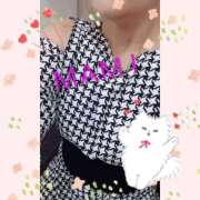 ヒメ日記 2025/11/12 14:53 投稿 坂本まみ 熟女パラダイス京都店（カサブランカグループ）