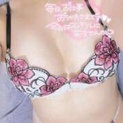 ヒメ日記 2026/06/30 12:39 投稿 あかり 至福の密着エステ&禁断のM性感 Luxeaz