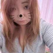 ヒメ日記 2025/11/11 12:03 投稿 かよ ちゃんこ千葉東金店