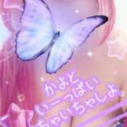 ヒメ日記 2025/12/11 11:48 投稿 かよ ちゃんこ千葉東金店