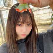 ヒメ日記 2025/11/10 18:15 投稿 こい キューティーハニー