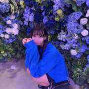 ヒメ日記 2025/11/15 12:05 投稿 こい キューティーハニー