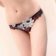 ヒメ日記 2025/12/08 14:44 投稿 そら 桃李（とうり）