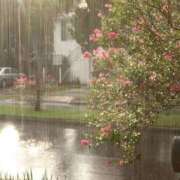 ヒメ日記 2025/11/09 12:26 投稿 速水 サブマリン