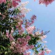 ヒメ日記 2025/11/15 09:18 投稿 速水 サブマリン