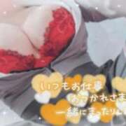 ヒメ日記 2025/11/15 02:10 投稿 ふわり わちゃわちゃ密着リアルフルーちゅ西船橋