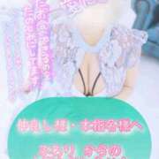 ヒメ日記 2025/11/19 12:00 投稿 ふわり わちゃわちゃ密着リアルフルーちゅ西船橋