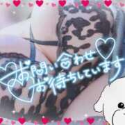 ふわり 😈悪魔の ふわり が降臨だ〜！😈 わちゃわちゃ密着リアルフルーちゅ西船橋