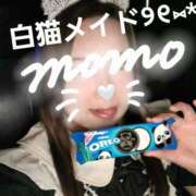 ヒメ日記 2025/11/19 19:57 投稿 もも FORTUNE