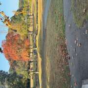 ヒメ日記 2025/11/14 09:21 投稿 ゆず 人妻恋愛サークル