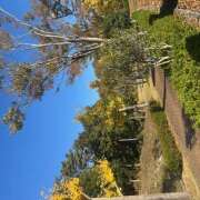 ヒメ日記 2025/11/21 22:17 投稿 ゆず 人妻恋愛サークル