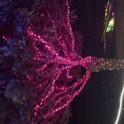 ヒメ日記 2025/12/23 07:01 投稿 ゆず 人妻恋愛サークル