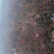 ヒメ日記 2026/01/17 07:37 投稿 ゆず 人妻恋愛サークル