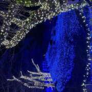 ヒメ日記 2026/01/20 12:40 投稿 ゆず 人妻恋愛サークル