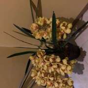 ヒメ日記 2026/03/07 08:32 投稿 ゆず 人妻恋愛サークル