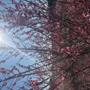 ゆず おはようございます☀️ 人妻恋愛サークル