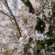 ヒメ日記 2026/04/07 08:31 投稿 ゆず 人妻恋愛サークル