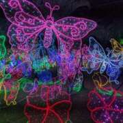 ヒメ日記 2025/12/15 00:03 投稿 みき 五十路有閑マダム～沖縄店～