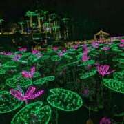 ヒメ日記 2025/12/20 23:57 投稿 みき 五十路有閑マダム～沖縄店～