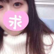 はるひ 初めまして✨ Seirenes (セイレネス)