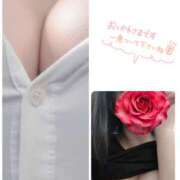 ヒメ日記 2025/11/14 10:25 投稿 蓮水 かりん セカンドパートナー池袋