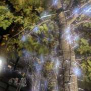 ヒメ日記 2025/12/09 18:50 投稿 蓮水 かりん セカンドパートナー池袋