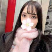 東雲ありな おはようございます🌸 ブルーバード