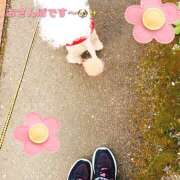 ヒメ日記 2025/11/13 00:19 投稿 あや 人妻日記2nd