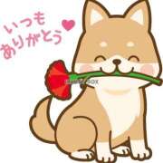 ヒメ日記 2025/11/15 18:26 投稿 あや 人妻日記2nd