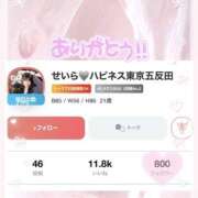 ヒメ日記 2026/02/18 00:06 投稿 せいら ハピネス東京 吉原店