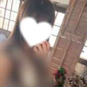 ヒメ日記 2026/04/14 17:56 投稿 せいら ハピネス東京 吉原店