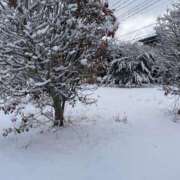 ヒメ日記 2026/02/08 12:12 投稿 つむぎ 成田人妻花壇