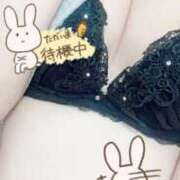 ヒメ日記 2025/12/22 21:48 投稿 かほ 密着指導！バカンス学園 尼崎校