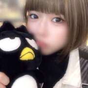 ヒメ日記 2025/11/28 07:03 投稿 ちる フロンティア