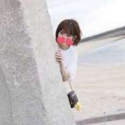 ヒメ日記 2026/01/30 21:03 投稿 ちる フロンティア