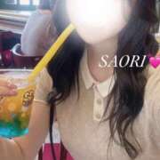 ヒメ日記 2025/11/19 20:04 投稿 さおり★超S級！究極の美貌★ Bell～S級美女お姉様・人妻デリヘル～