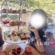 ヒメ日記 2025/12/17 21:05 投稿 さおり★超S級！究極の美貌★ Bell～S級美女お姉様・人妻デリヘル～