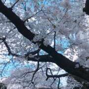 ヒメ日記 2026/04/06 21:14 投稿 さおり★超S級！究極の美貌★ Bell～S級美女お姉様・人妻デリヘル～