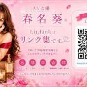 春名　葵 🎀お題 Beppin house