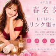 春名　葵 🎀 Beppin house
