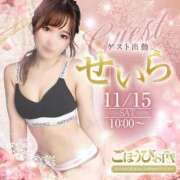 ヒメ日記 2025/11/13 21:19 投稿 せいら ごほうびSPA 新宿店