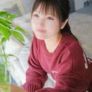 ヒメ日記 2025/11/25 21:27 投稿 せいら ごほうびSPA 新宿店