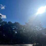 ヒメ日記 2026/01/26 08:07 投稿 せいら ごほうびSPA 新宿店