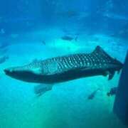 ヒメ日記 2025/12/10 17:33 投稿 なずな コスプレアカデミー