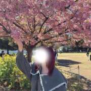 ヒメ日記 2026/03/13 01:11 投稿 みるく サティアンまーと