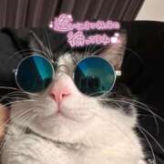 くう オプションについて！（必読だよぉっ- ̗̀📣 ちゃんこ本厚木店