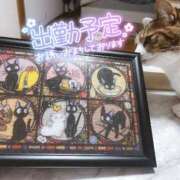 ヒメ日記 2026/01/27 23:34 投稿 くう ちゃんこ本厚木店