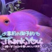 ヒメ日記 2026/01/30 18:45 投稿 くう ちゃんこ本厚木店