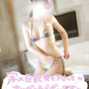 ヒメ日記 2026/04/02 13:50 投稿 アヤナ 姫路ラビット