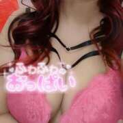 ヒメ日記 2025/11/19 22:30 投稿 【新人】りの 神奈川小田原ちゃんこ